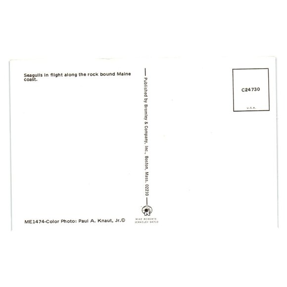 Seagulls In Flight Postcard Bromley Maine Coast Vintage Scenic Photography Bird - Picture 2 of 2